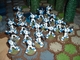 218482 Heroscape Expansion Set: Malliddon's Prophecy - Snipers & Vipers