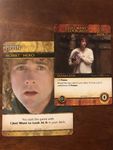 5075825 The Lord of the Rings: The Return of the King Deck-Building Game
