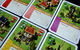 2077713 Imperial Settlers (Edizione Tedesca)