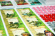 2224647 Imperial Settlers