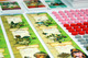 2224647 Imperial Settlers (Edizione Tedesca)