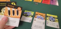 5140483 Time Barons