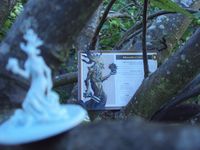 3227694 Wizard's Academy 