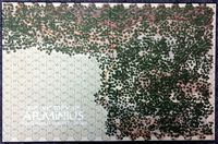 2406277 The Victory of Arminius: Teutoburg Forest, IX AD