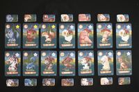 2566625 Animals Frightening Night!