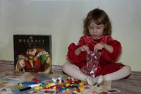 2317727 The MAGNATES: A Game of Power 