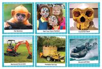 2079383 Happy Birthday!