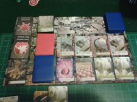 2429177 Apex Theropod Deck-Building Game (Exotic Predators Limited Edition)