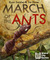 1963615 March of the Ants 