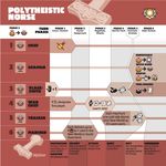 2484783 Greenland (Seconda Edizione)