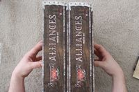 2416468 Summoner Wars: Alliances Master Set 