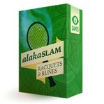 2023384 AlakaSLAM