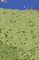 2354961 Day of Days: The Invasion of Normandy 1944 