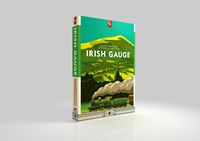 4587358 Irish Gauge