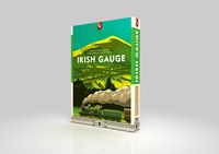 4587359 Irish Gauge