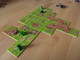 2667498 Carcassonne: Goldrausch