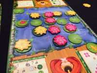 3545183 Haru Ichiban 