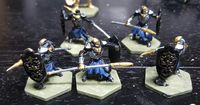 3037485 BattleLore (Second Edition): Hernfar Guardians Army Pack 