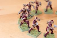 2583889 BattleLore (Second Edition): Warband of Scorn Army Pack 