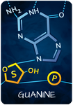 2253790 Peptide: A Protein Building Game 