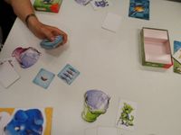 2607078 Fische und Steine