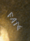 2288628 RuneCast 