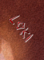 2288630 RuneCast 