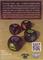 2285678 Monsters and Maidens: Epic Dice 