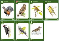 2565355 Birds of a Feather 