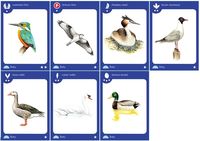 2565358 Birds of a Feather 