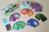 4315326 Birds of a Feather 