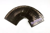 2885694 Dino Dude Ranch