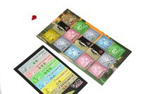 4531195 Dino Dude Ranch