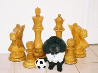103657 Alexandra Kosteniuk's Chess