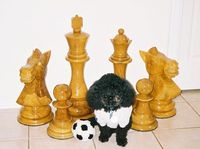 103657 Chess Set Big (14')