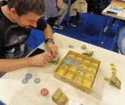 2709238 Flying Kiwis