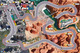 2482323 Formula D: Circuits 6 – Austin &amp; Nevada Ride 