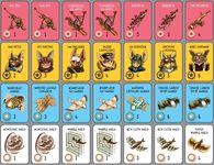 2670132 Cave Pilot 55