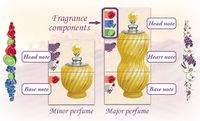 2430512 Parfum (Edizione Francese)