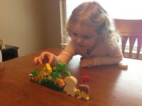 1524518 Pyramide d'Animaux 