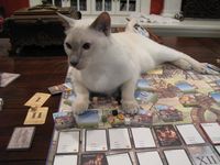 2542722 Builders of Blankenburg