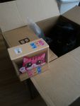 3479557 Cat Box