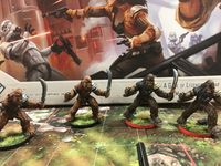 3430026 Star Wars: Imperial Assault – Wookiee Warriors Ally Pack 