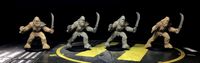 5547387 Star Wars: Imperial Assault – Wookiee Warriors Ally Pack 