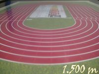 2535419 1500 m