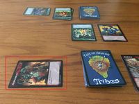 3200580 Fate Of Akalon: Tribes