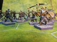 2830150 BattleLore (Second Edition):  Terrors of the Mists Army Pack 