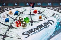 3858999 Snowblind: Race for the Pole