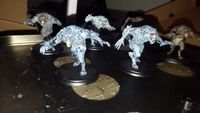 5314340 Shadows of Brimstone: Werewolf Feral Kin Mission Pack