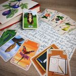 6604242 Pi mal Pflaumen 